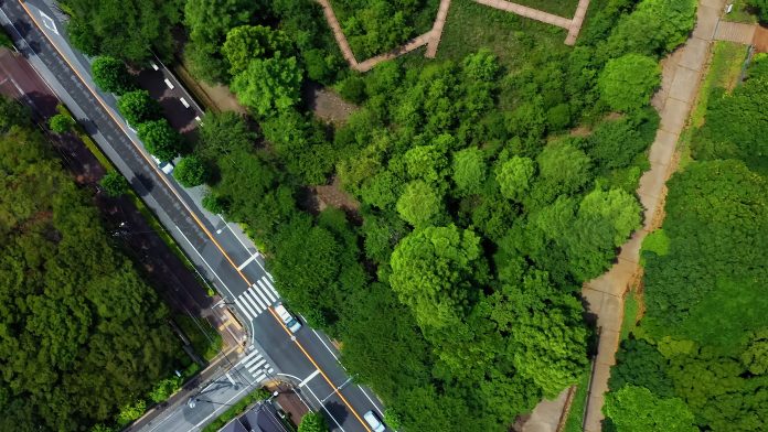 Como Reduzir as Emissões da Sua Frota: Ação Urgente para um Futuro Sustentável